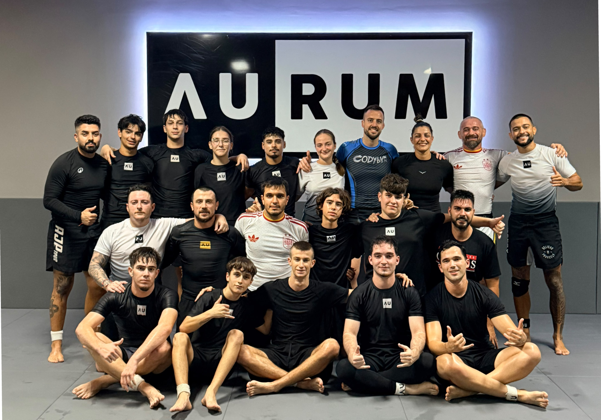 Aurum BJJ Aldaia